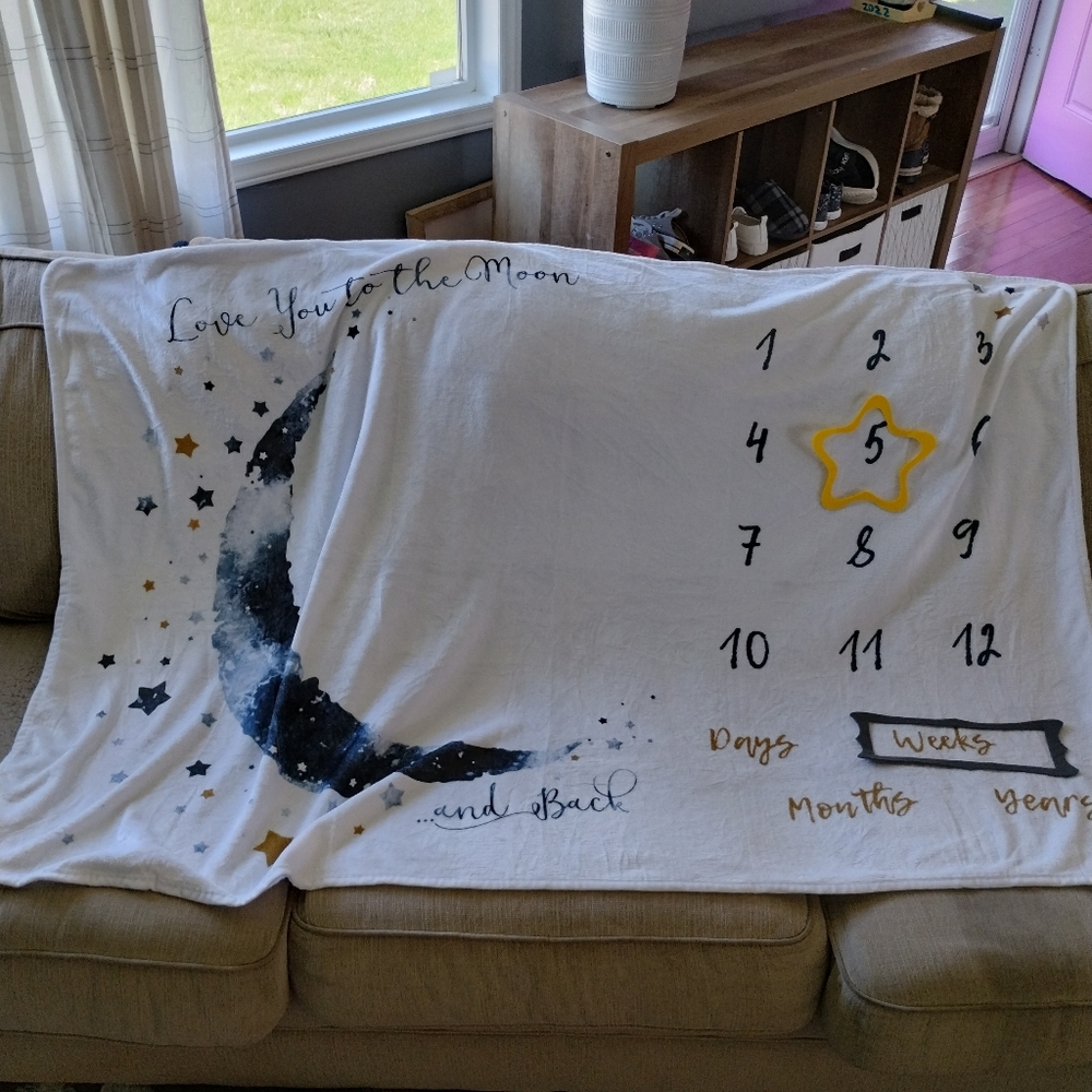 BRAND NEW Weekly monthly yearly milestone furry blanket